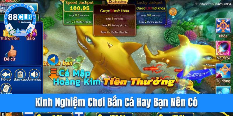 Kinh nghiệm chơi bắn cá hay bạn nên có